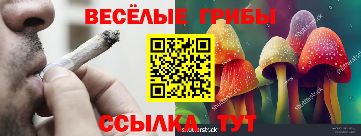 Псилоцибиновые грибы мухоморы Лосино-Петровский